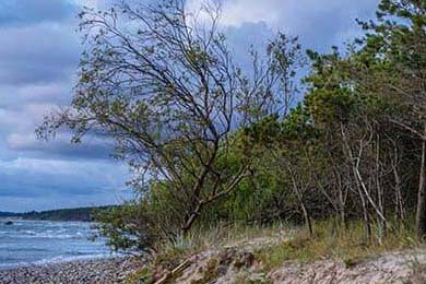 勇士赛后安排心理辅导缓解球员精神压力，勇士队内训练赛